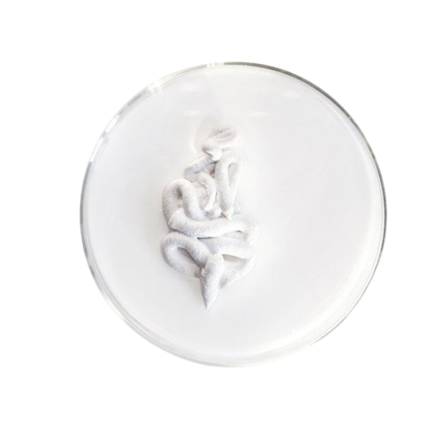Peeling Enzymatique Visage & Cou au Lait de Chèvre 🐐 – 75 ml -Ziaja