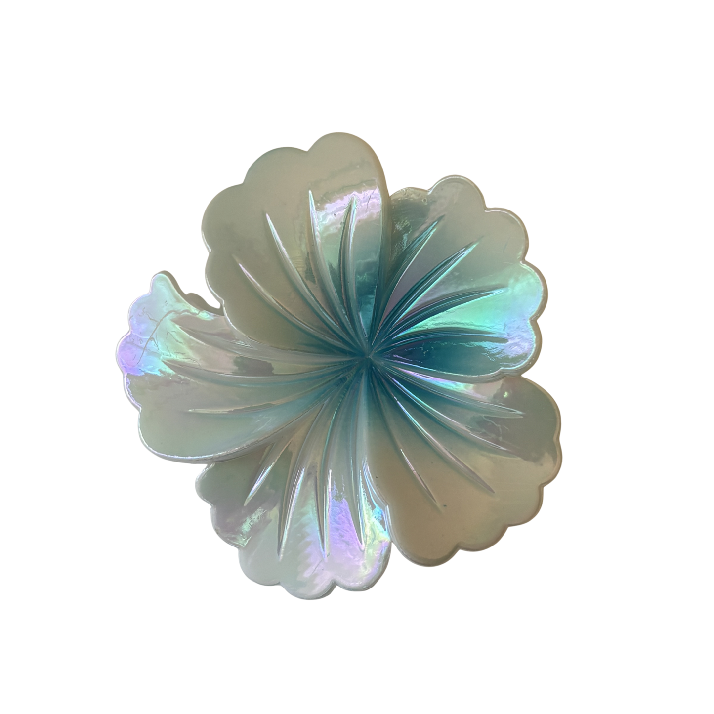 🌸 Pince à cheveux Fleur Tropicale  xl