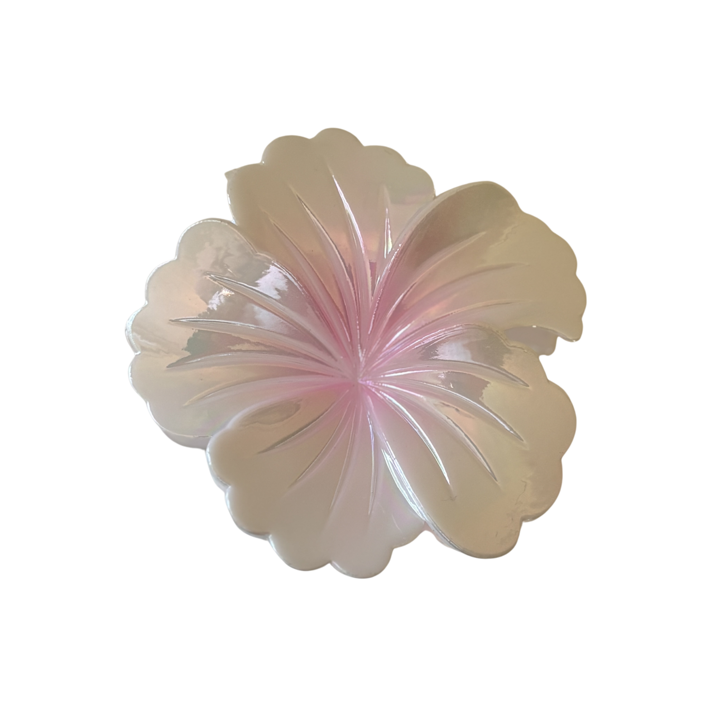🌸 Pince à cheveux Fleur Tropicale  xl