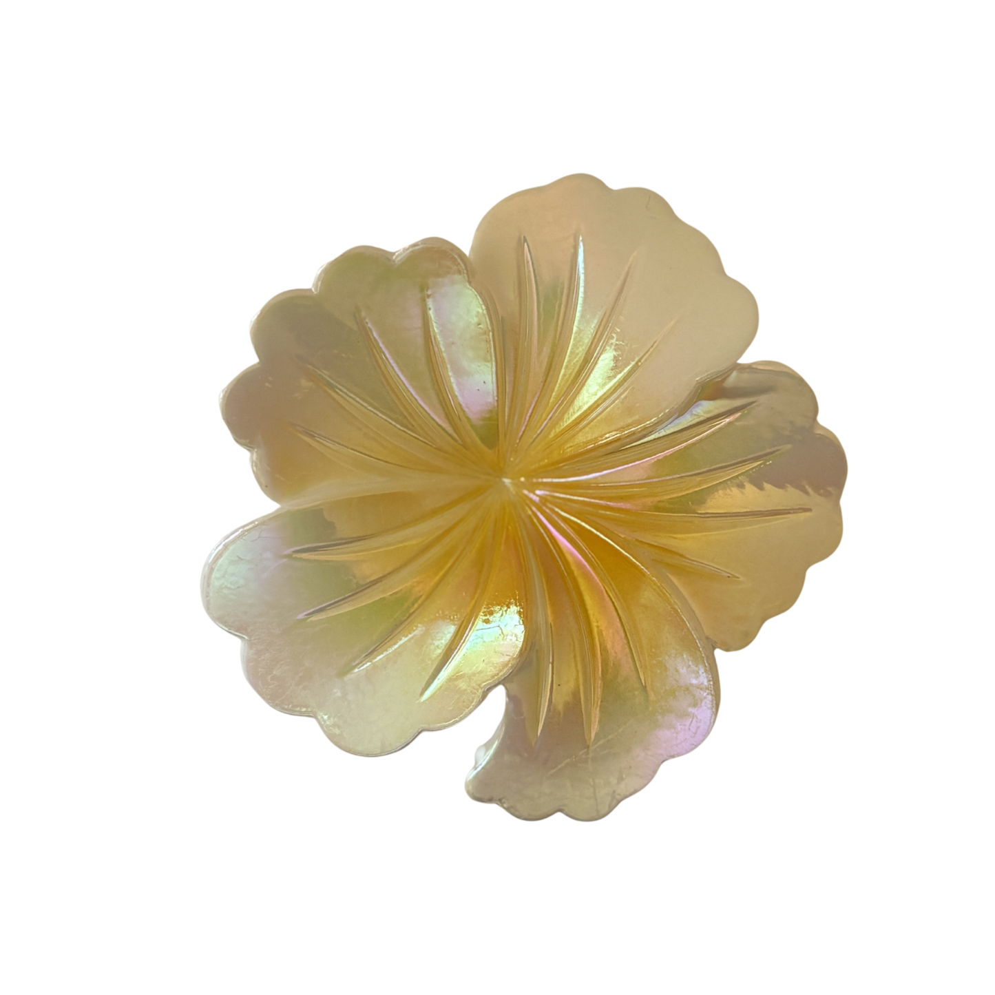🌸 Pince à cheveux Fleur Tropicale  xl