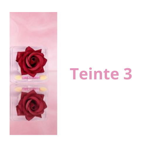🌹 Rose Blush 3D– D’Donna Beauty (4 Teintes Disponibles)